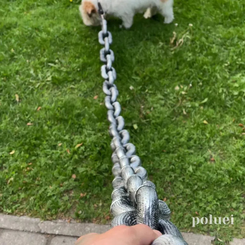 Poluei™ - MegaMutt Chain Leash